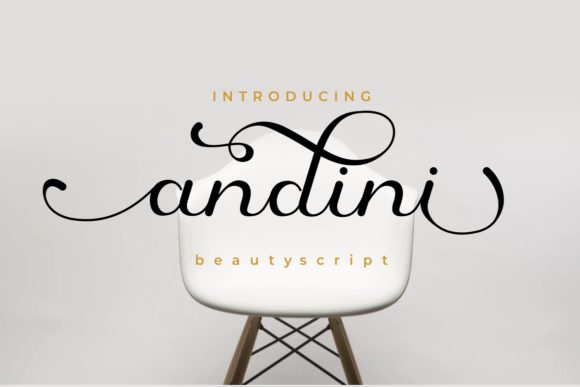 Andini: A Font for Creative Campaigns