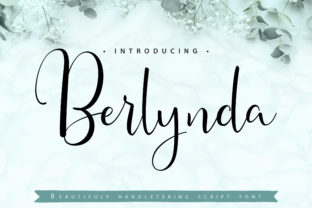 Berlynda Font Review