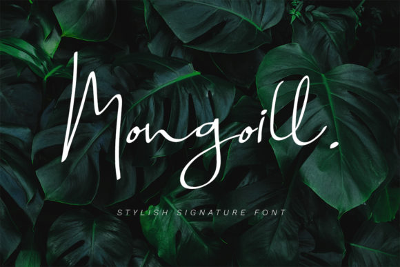 Mongoill Font for Professional Branding