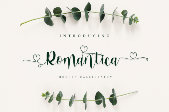 Romantica: A Soft Script Font for Creative Projects