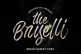 The Bryelli Font: A Handwritten Delight