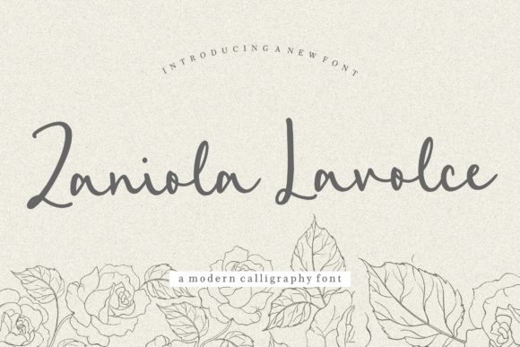 Zaniola Lavolce Font for Business Branding